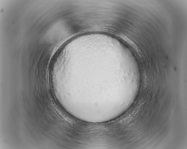 X0000060260886200511181351