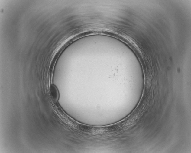 X0000060260887200511181351