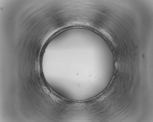 X0000060260888200511181351