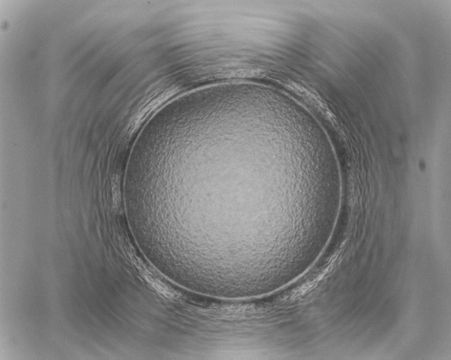 X0000060260889200511181351