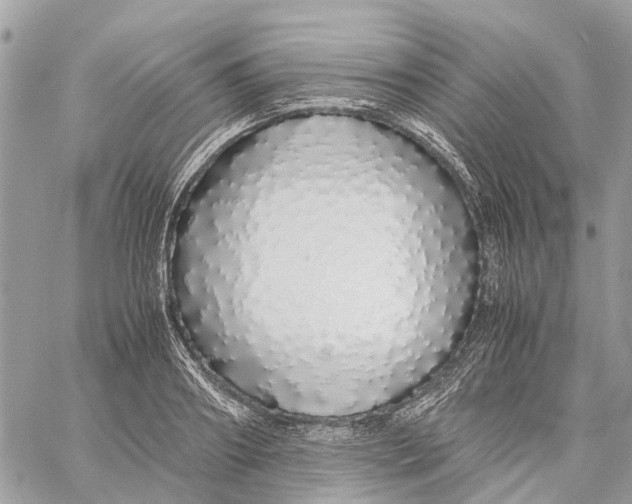 X0000060260890200511181351