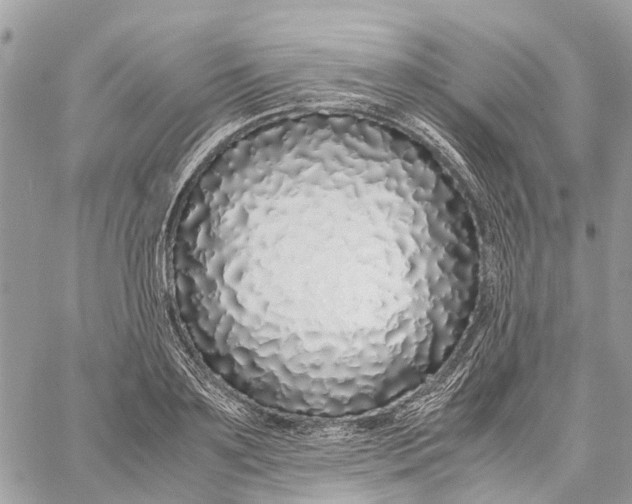 X0000060260891200511181351