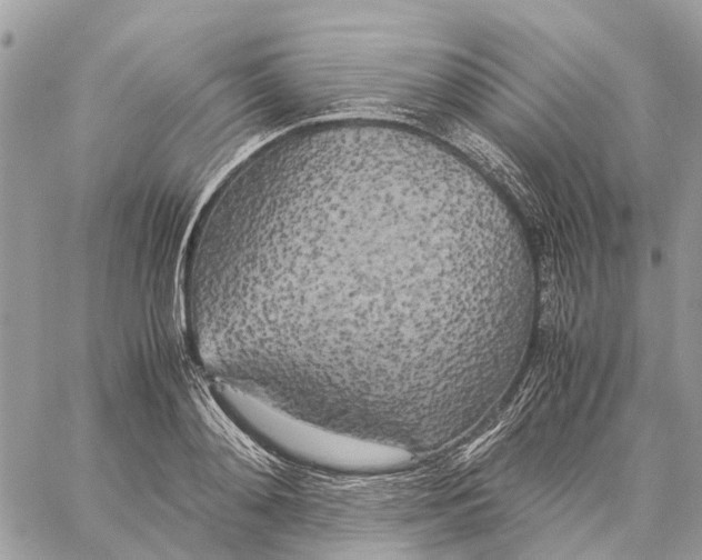 X0000060260892200511181351