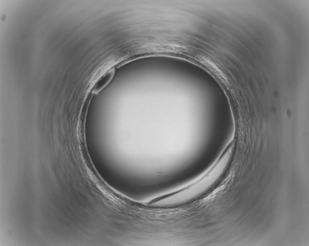 X0000060260893200511181351