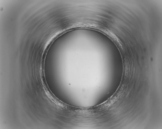 X0000060260896200511181351