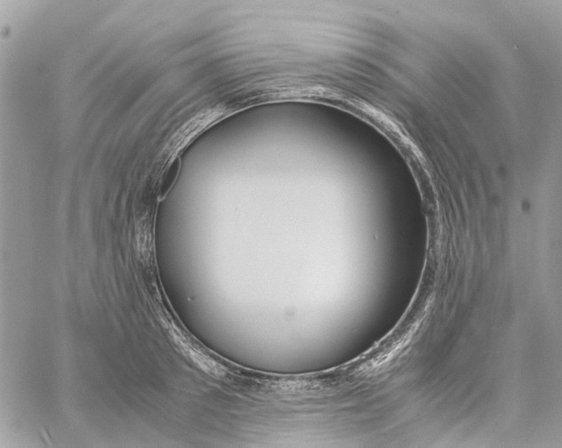 X0000060260897200511181351