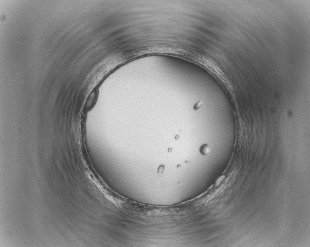 X0000060260898200511181351