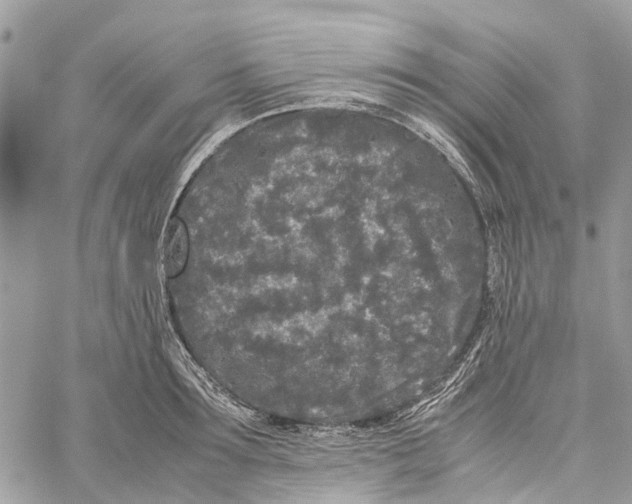 X0000060260899200511181351