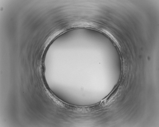 X0000060260901200511181351