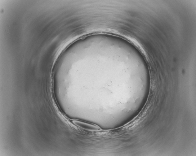 X0000060260903200511181351