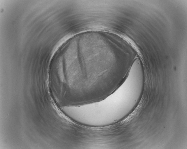 X0000060260904200511181351