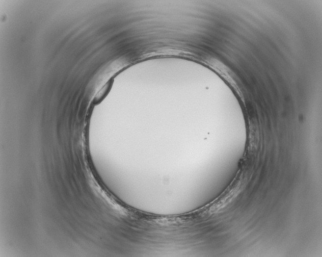 X0000060260906200511181351