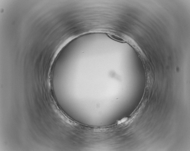 X0000060260908200511181351