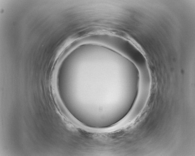 X0000060260909200511181351