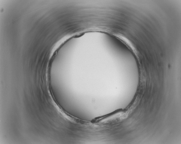 X0000060260910200511181351