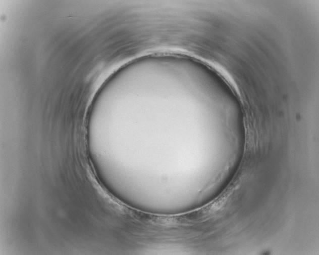 X0000060260911200511181351