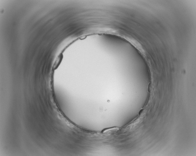 X0000060260912200511181351