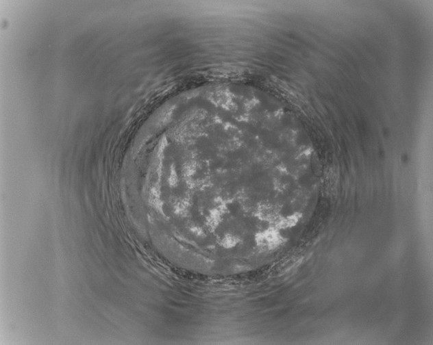 X0000060260913200511181350