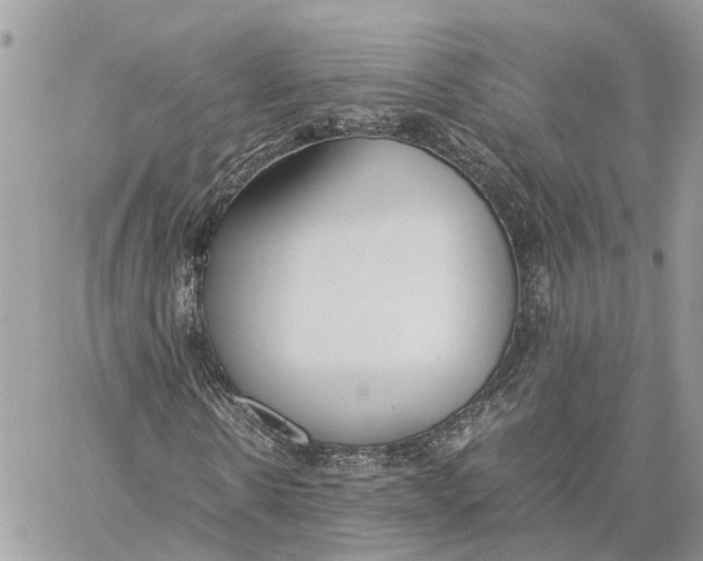 X0000060260914200511181350