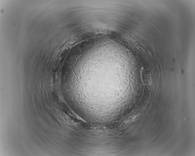 X0000060260916200511181350