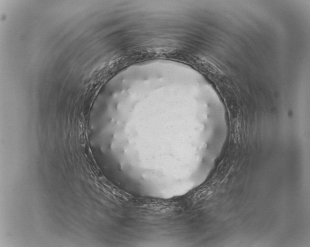 X0000060260917200511181350