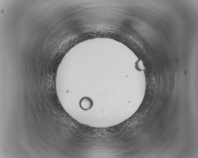 X0000060260918200511181350