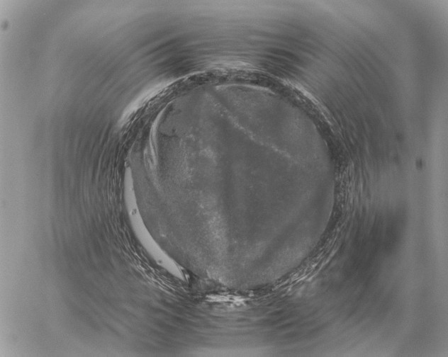 X0000060260919200511181350