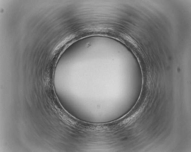 X0000060260922200511181350