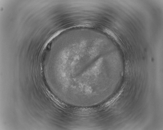 X0000060260923200511181350