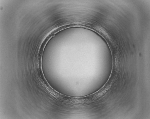 X0000060260924200511181350