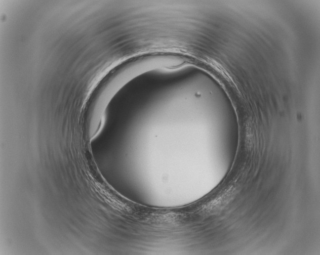 X0000060260926200511181350