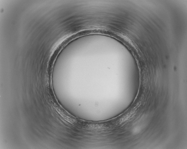 X0000060260927200511181350