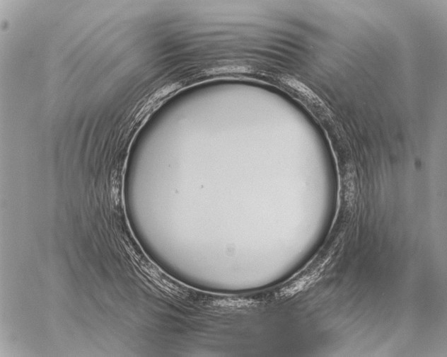 X0000060260929200511181350