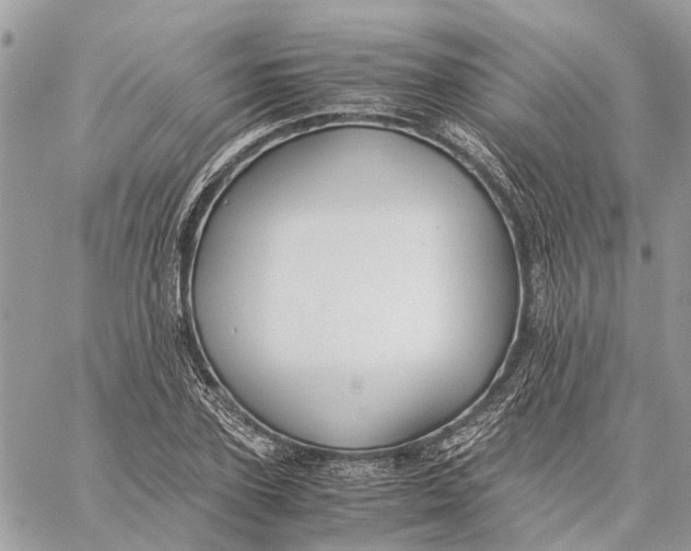 X0000060260931200511181350