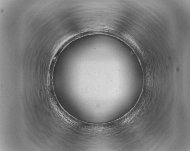 X0000060260932200511181350