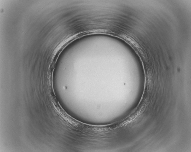 X0000060260933200511181350