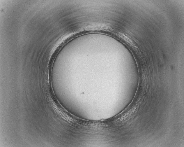 X0000060260934200511181350