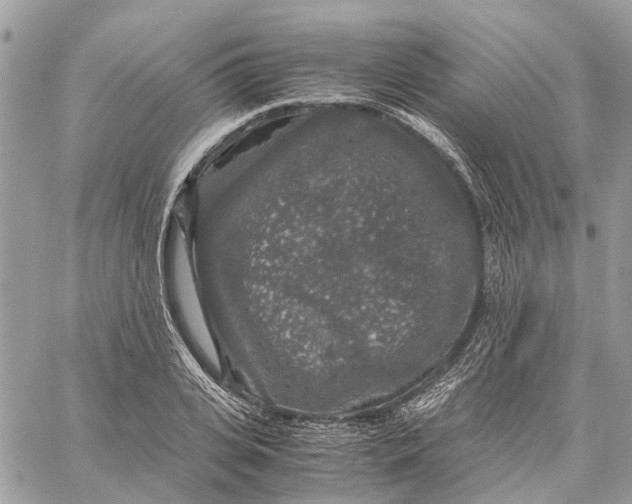 X0000060260935200511181350