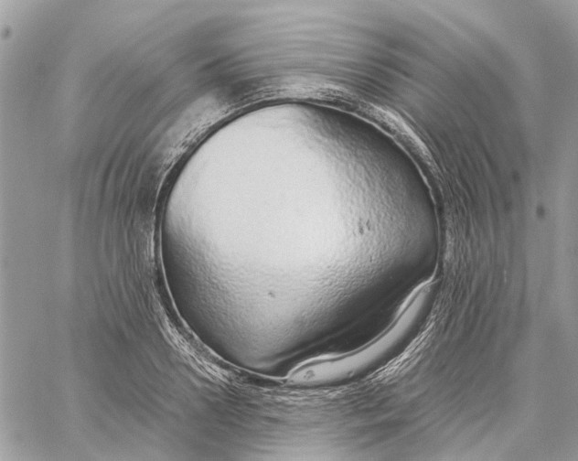 X0000060260938200511181350