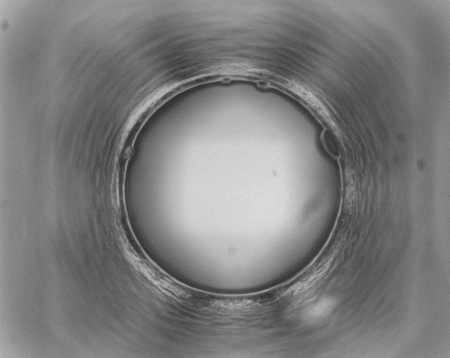 X0000060260939200511181350