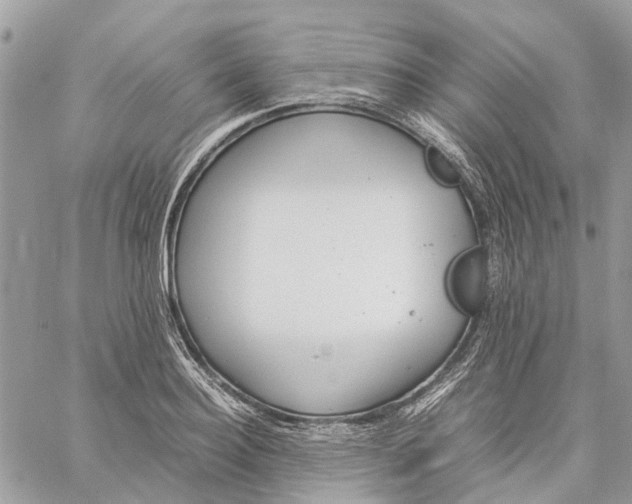 X0000060260940200511181350