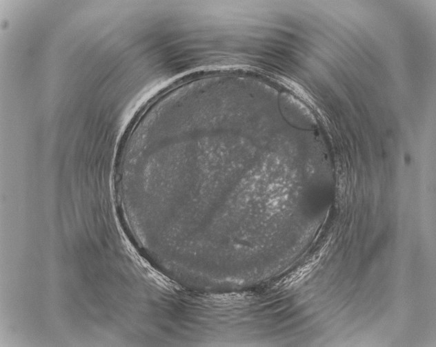 X0000060260943200511181351