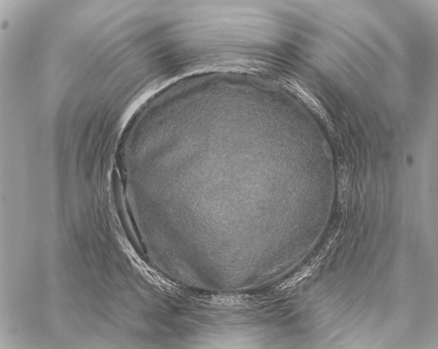 X0000060260944200511181351