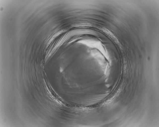 X0000060260945200511181351