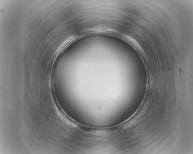 X0000060260946200511181351