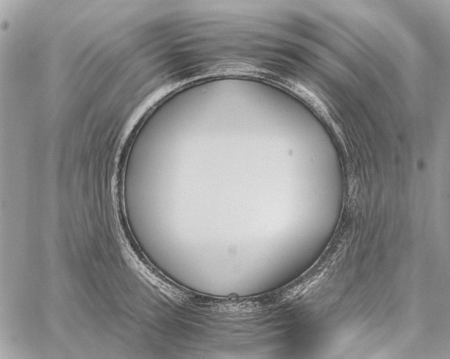 X0000060260947200511181351