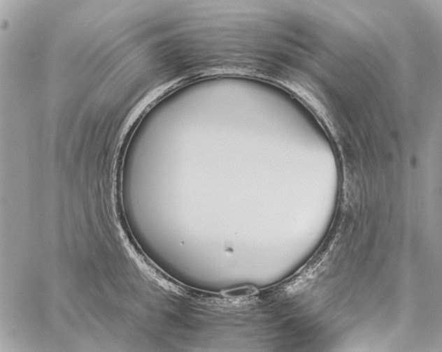 X0000060260949200511181351