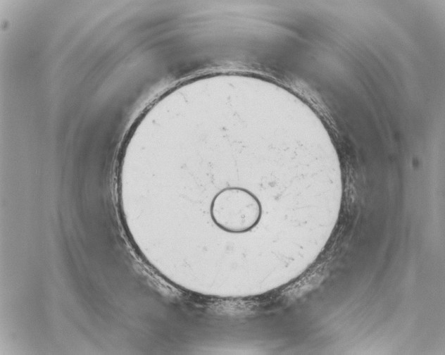 X0000060260950200511181351