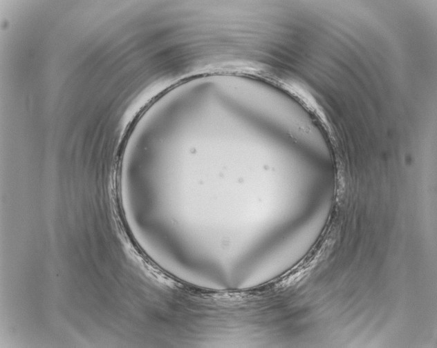 X0000060260952200511181351