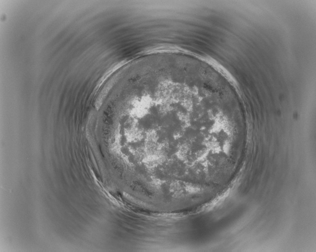 X0000060260953200511181351